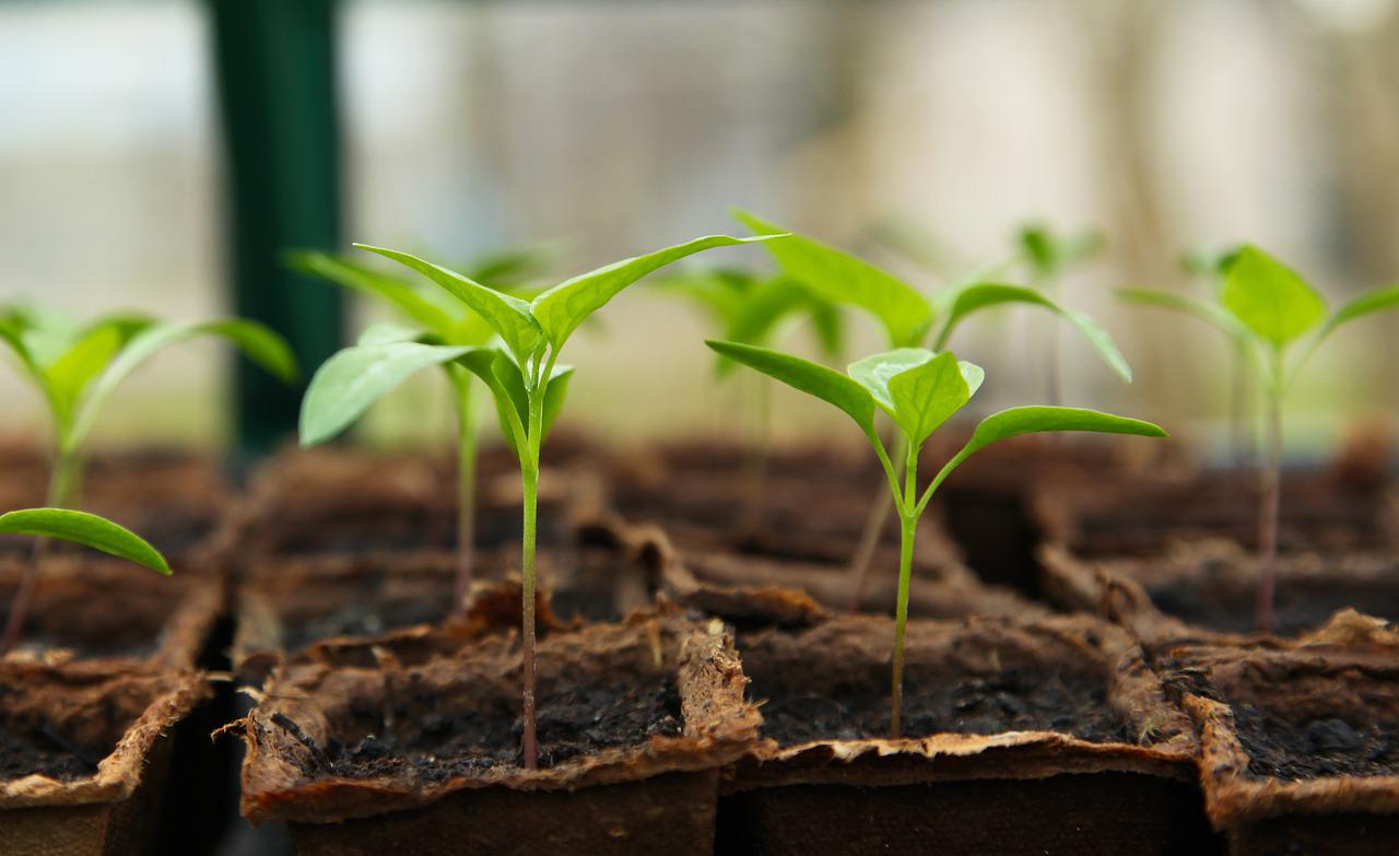 Garden Storage: Let’s Get Organized