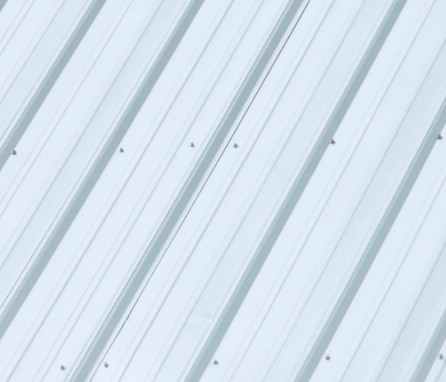 Polar White