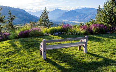 bench in a hilltop garden setting