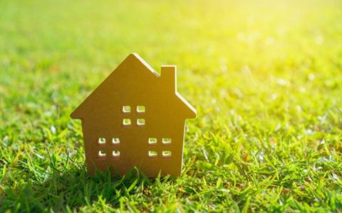 tiny home model in grass