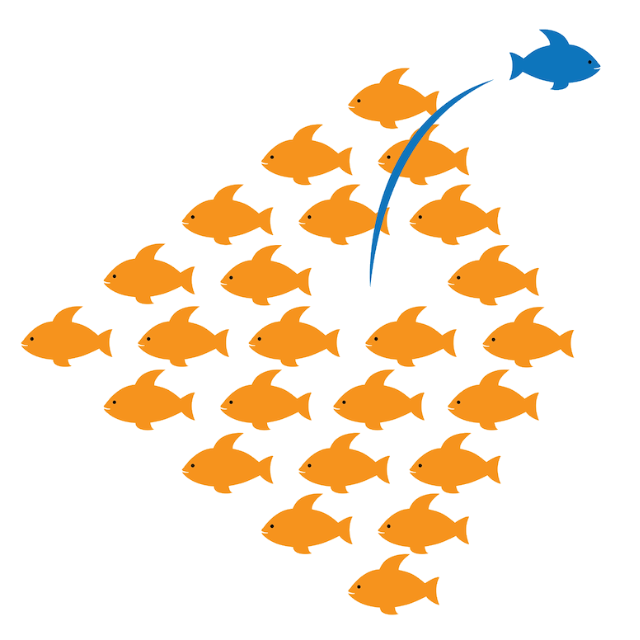A group of orange fish with a blue fish in the middle swimming near a store that sells sheds.