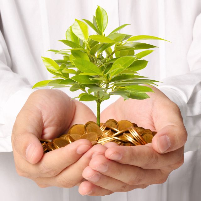 man holds coins and a growing tree