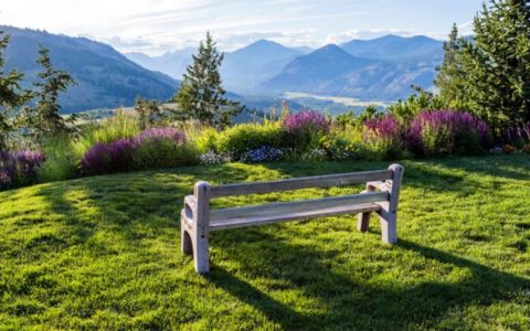 bench in a hilltop garden setting
