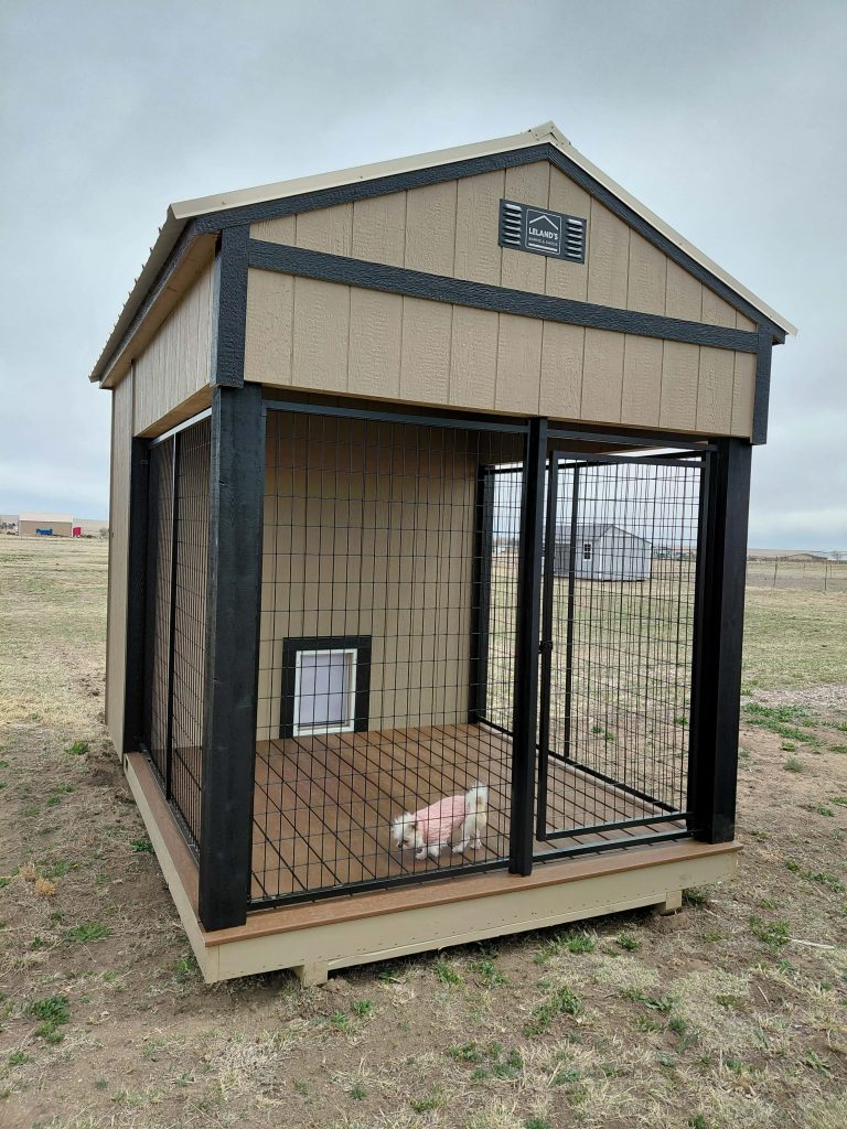  - A beige wooden dog kennel with black trim and wire fencing, housing a small white fluffy dog inside on a dirt yard.