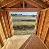 8x8 Utility Shed - Image 6