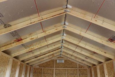 10x16 Essential Shed - Belmont Blue - Image 3