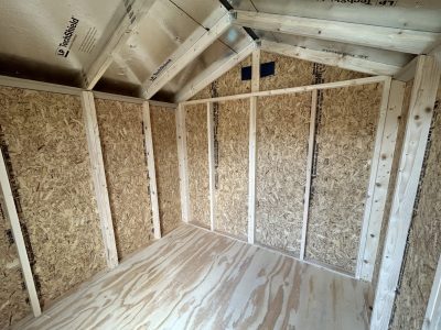 An 8x8 Basic Shed with plywood walls, available for sale at a nearby shed store.