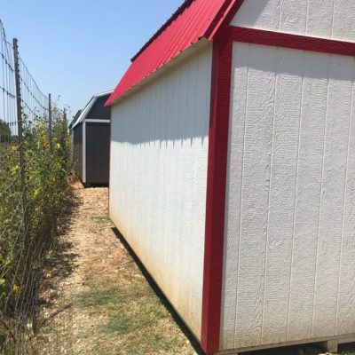 A 12x16 Lofted Barn for sale with a red roof and white siding.